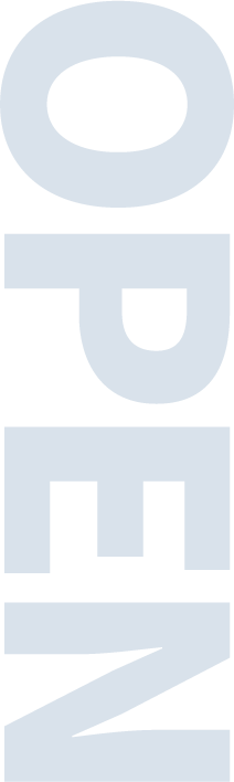 ̹